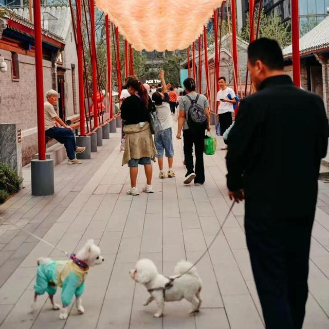 返程路上翻“朋友圈”，西城的快乐跳出屏幕