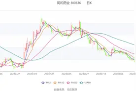 同和药业：2024年上半年净利润6955.20万元 同比增长21.96%图片