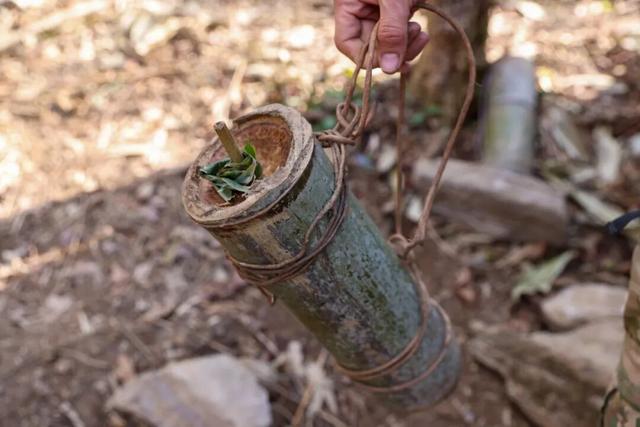 那么多荒野求生，怎么就七星山爆了｜记者行思