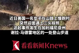 狭路相逢！美国一女子山间慢跑时遇到三只熊图片