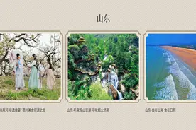 “村”游德州攻略来了！跟着“全国乡村旅游精品线路”解开美食密码图片