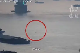 渡江猪一“露头”，他第一个发现了它图片