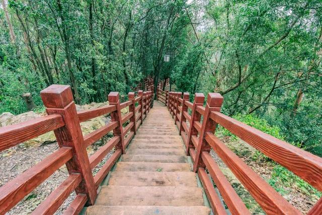 免门票！里水登高首选！3条赏秋路线→