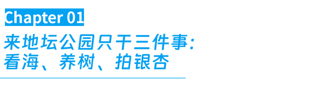 在北京花2元看“海”，这古早景点彻底翻红