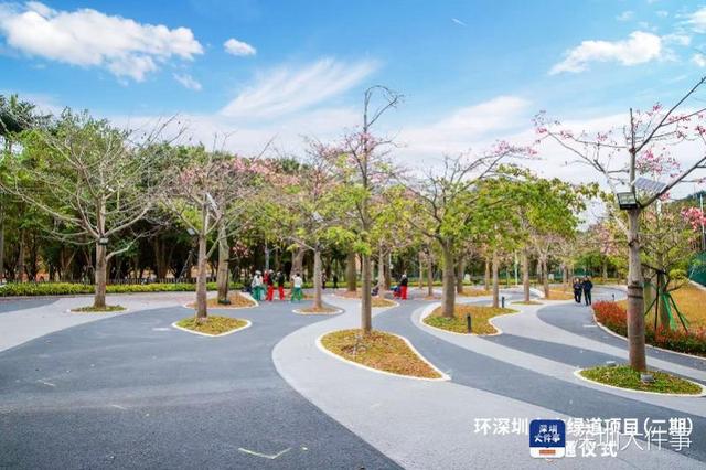 湖光山色串起八园风景 深圳罗湖“翡翠项链”全线点亮