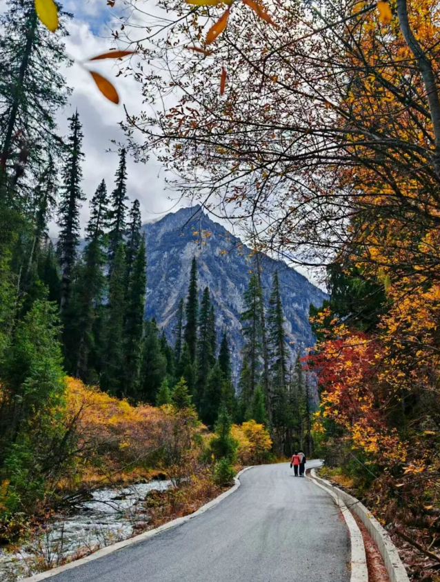 青睐绵阳 ‖ 雪山彩林上线！去平武王朗赴一场金秋视觉盛宴~