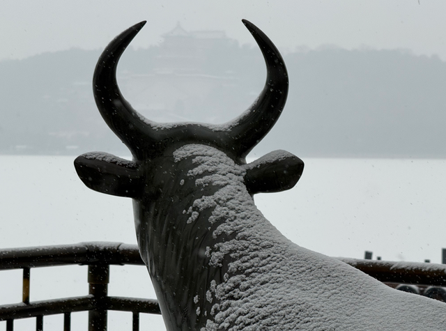 北京初雪正式上线！赴一场冬日限定之约