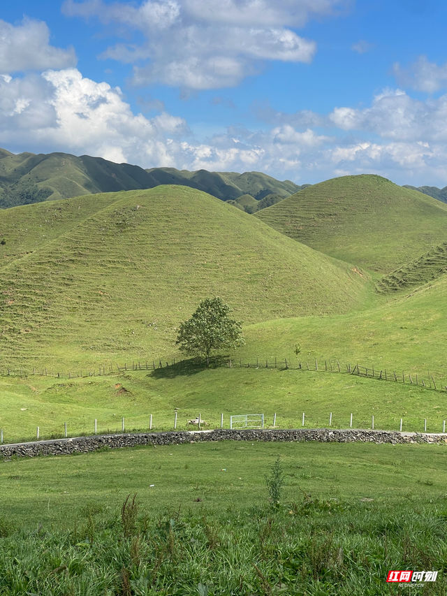 大美红图｜国庆邂逅“南方呼伦贝尔”，城步南山牧场迎旅游热潮