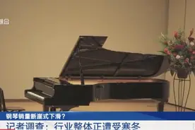 销量断崖式下滑？热门乐器如今遭遇寒冬：五万入手，五千出手没人要图片