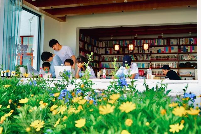 大理最治愈的129公里：这个夏天，在洱海边找到生活的解药