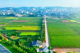 打造红领生态共富地，绘就三洲古村新篇章图片