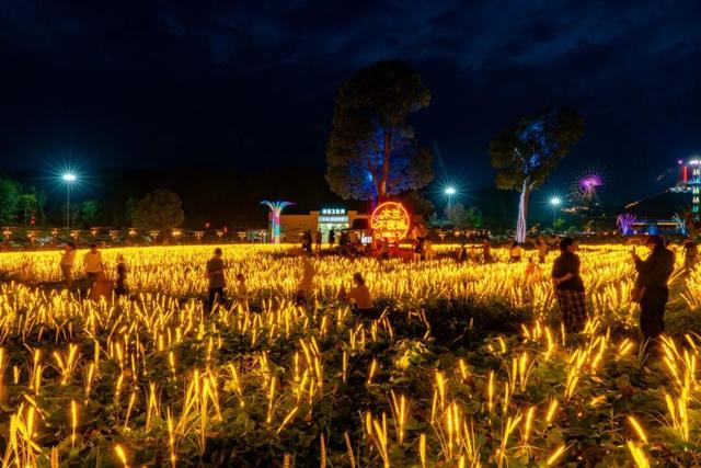 多元景观+消费新场景，武汉花式赏秋氛围感拉满