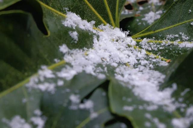 威海的冬日浪漫，从一场雪开始