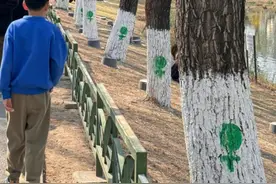 北京朝阳公园给树画上了性别符号，可更精准治理飞絮图片