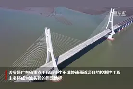 汕头牛田洋特大桥展雄姿图片