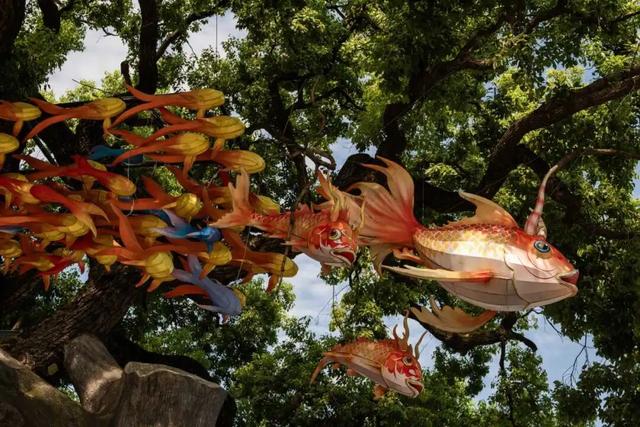 中国最魔幻的城市，“打包”全球