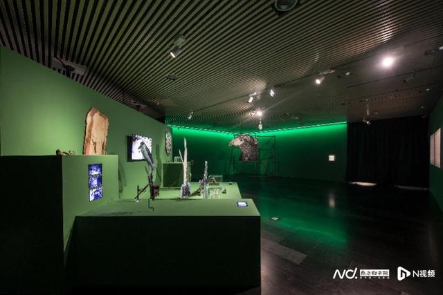 重思自然与人类的关系，展览“自然契约”登陆清华艺博