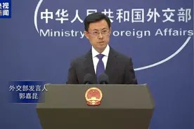 美国儿童唱《如愿》惊艳全场 外交部：希望中美友谊的种子生根发芽图片