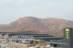 华北区域单栋养殖量最大 卫辉有座16万只智能“超级鸡舍”图片
