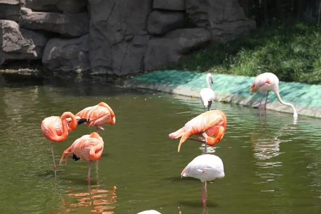 初冬的第一场旅行不如“进山游”→