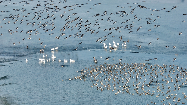新华社+《国家地理》推荐 快来打卡山东秋景限定款