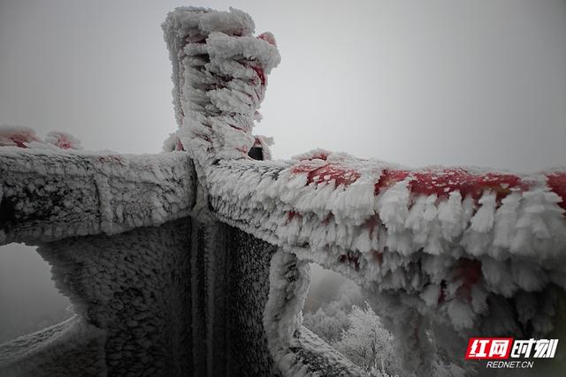 组图丨琼枝玉树映飞山 靖州雾凇绘就冬日诗画