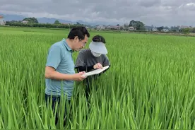 气候剧变下，一只虫子被滞留了图片