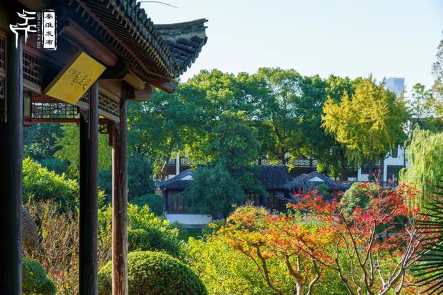 美“枫”了，快来赏！