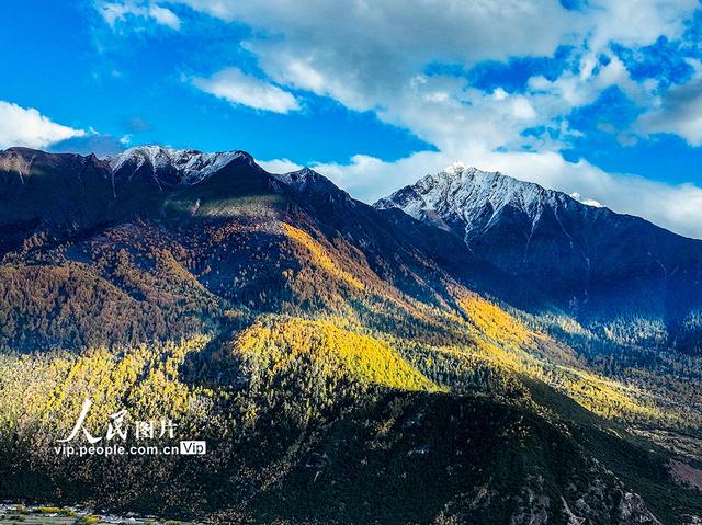 西藏林县：雅鲁藏布大峡谷秋景壮美