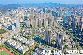 新蒲之“新”图片