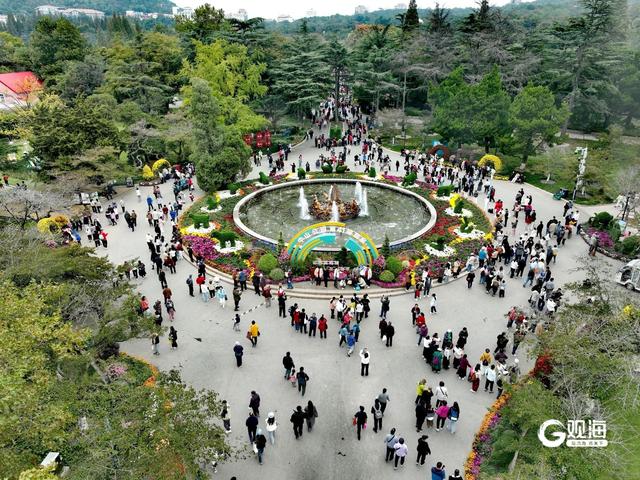 周末赏菊正当时，市民打卡中山公园