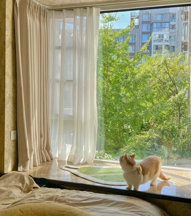 中年人看不上的西晒房，被年轻人抢疯了