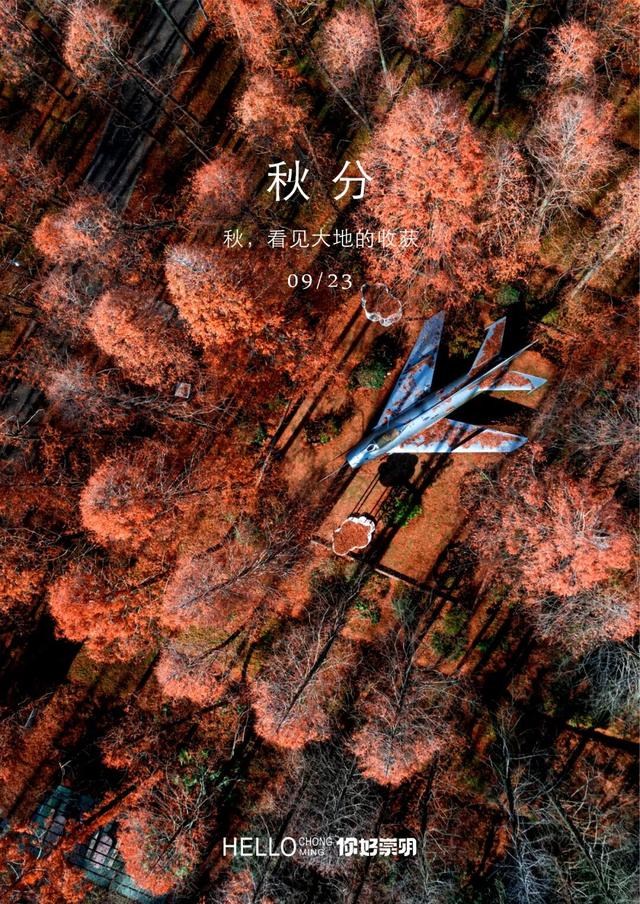 2025上海崇明森林旅游节即将启幕~精彩内容抢先看！文末有福利→