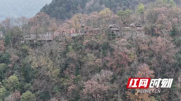 凤凰古城：初冬暖阳映古城 灵秀之美醉游人