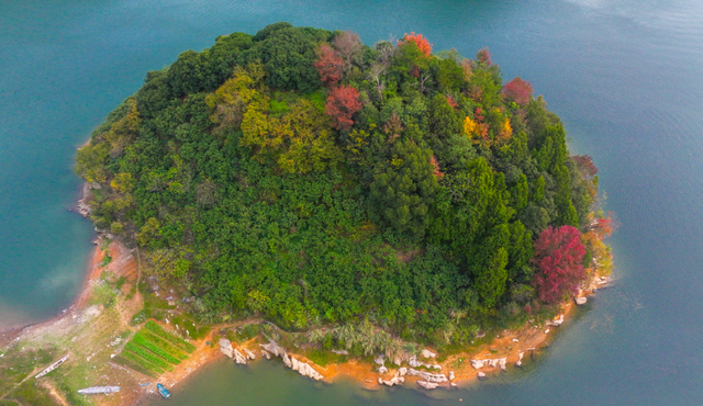 我在这里，等你→