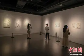 江西景德镇：中法艺术家陶艺作品展吸引民众参观图片