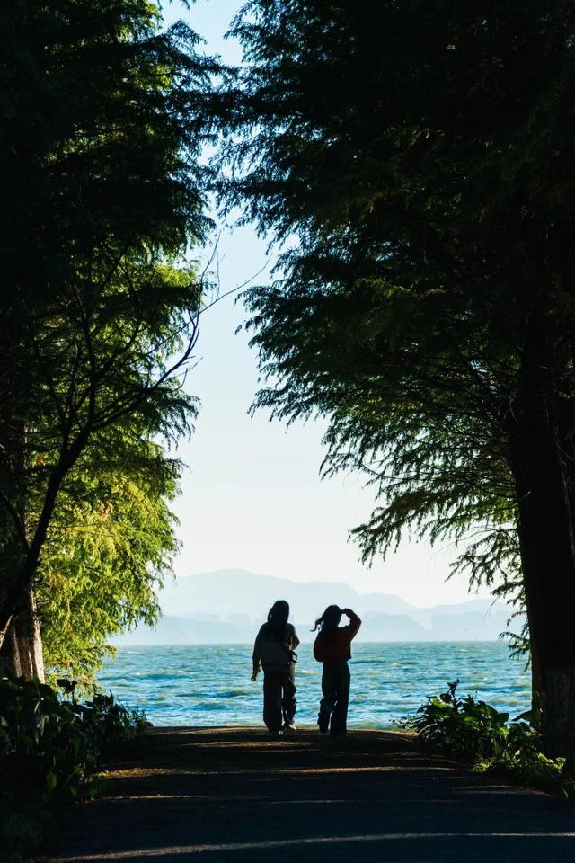 都是小众打卡点！在这些地方看海鸥，景美鸥多还诗意满满~
