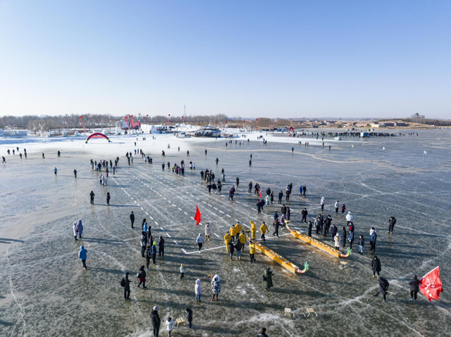 这个冬天，猫在巴彦淖尔才是幸福事