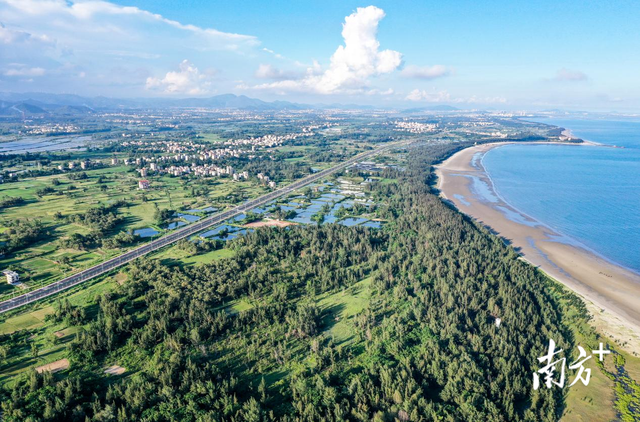 绿廊连碧海 公路展诗卷 | 茂名滨海漫游图鉴