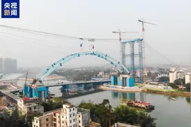 平陆运河金海湾大桥左幅拱肋顺利合龙图片