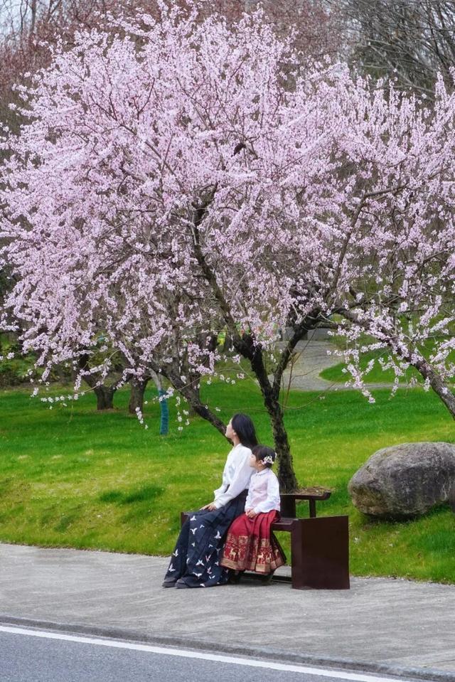 所有南京市民，半价