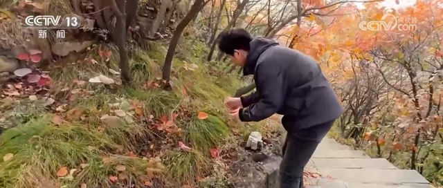 “斑斓秋色+新潮玩法”点燃赏秋游新热力 文旅新消费活力十足
