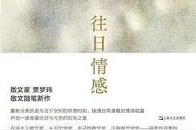 《往日情感》：对故乡永远的回望图片