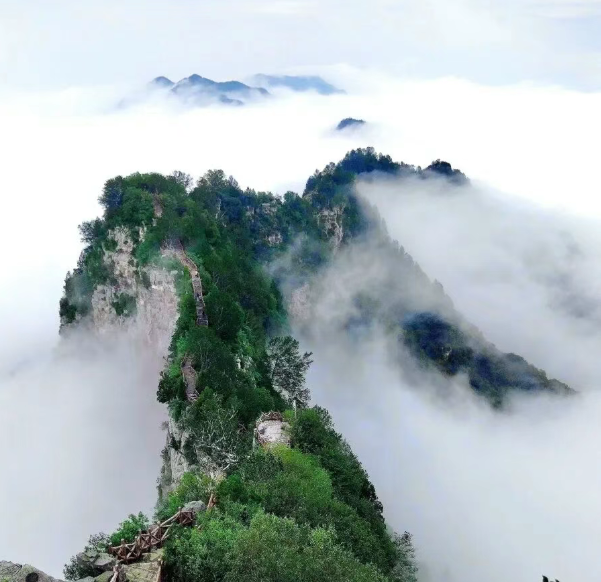 拒做“卷王”！来河南小县邂逅秋日美好｜月满华诞8天乐