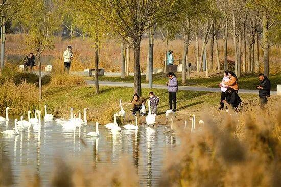 光影中的三门峡（557）