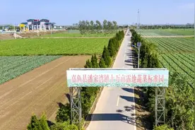 从蔬菜长廊出发！这里的乡村振兴路越走越宽图片