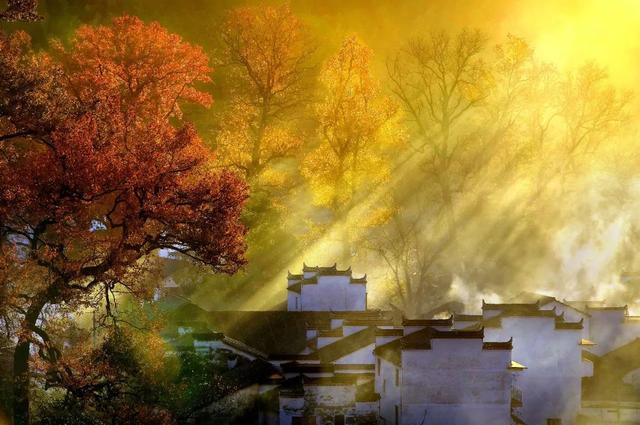 上饶绝美“枫景”加载完毕，前往石城锁定你的赏枫C位！