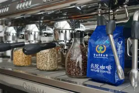 计划今年9月开始招生！云南农业大学新增咖啡科学与工程专业图片