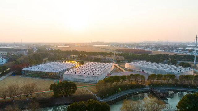 跟着“绿色青浦”，玩转白鹤草莓文化节~