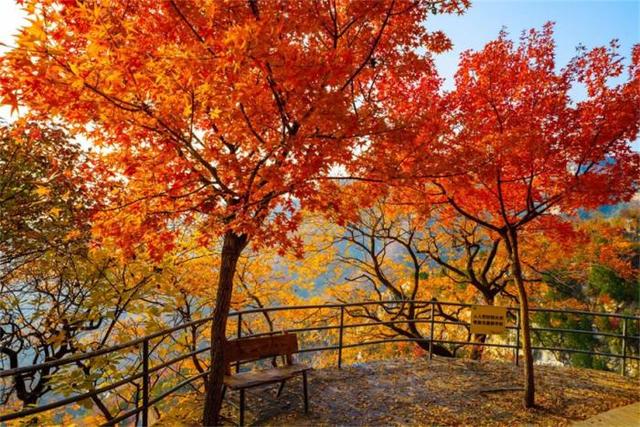 中秋国庆来畅玩山野！潭溪山秋色正在加载中，红叶大片先收藏→